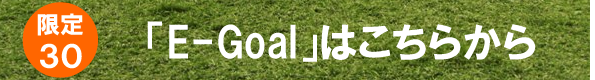 E-Goal����̔��ɂ��āB